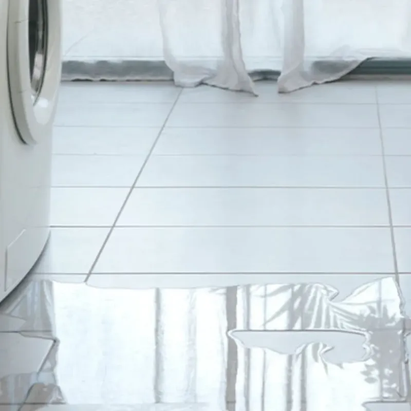 Appliance Leak Cleanup in Mountain Ranch, CA