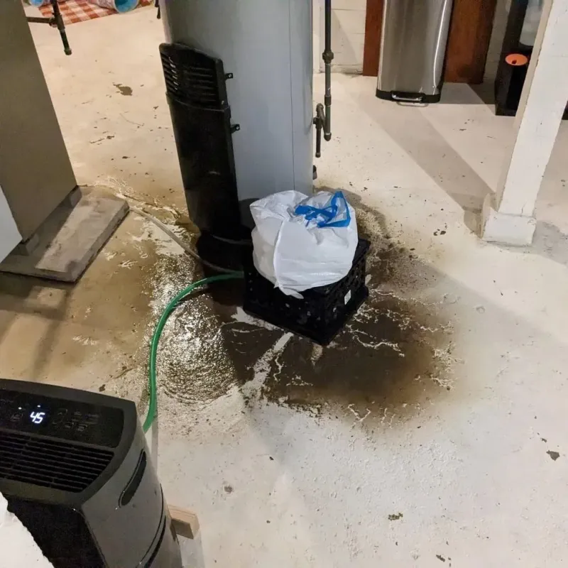 Sewage Backup Cleanup Service in Mountain Ranch, CA
